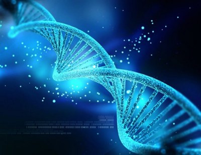 生物基因領域的新動力 傲銳東源生物基因加盟推動生物研究發展