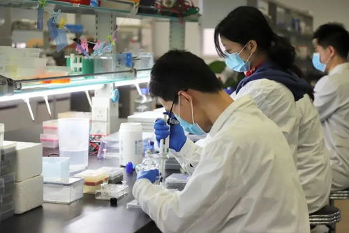 重慶醫藥健康雙軌并進 218個藥品平均降價53%與三甲醫院擴容至39家