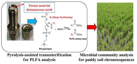 土壤微生物指紋圖譜新突破 創新磷脂脂肪酸分析方法揭示地下生命網絡